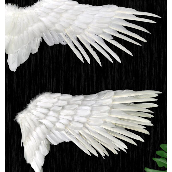 Englevinger med elastik Halloween kostumevinger White M