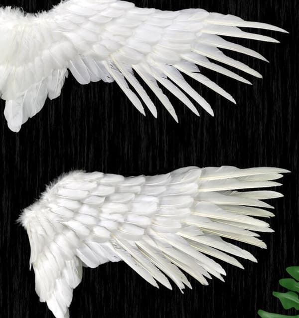Englevinger med elastisk Halloween-kostymevinger White M