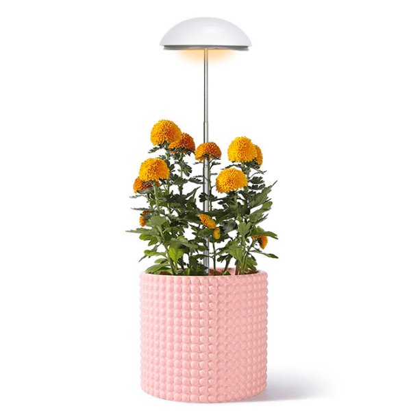 LED Grow Light för inomhusväxter 2-pack