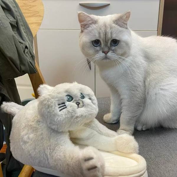 Plush Katttofflor för Kvinnor, Halksäkra Söta Vintervarma Golvskotofflor Beige