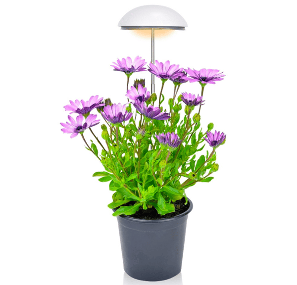 LED Grow Light för inomhusväxter 2-pack