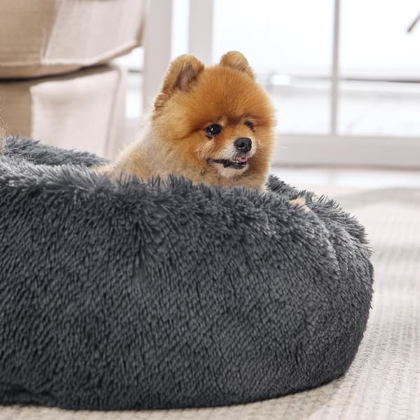 Rolig Hundebed for Små Hunder - Donut Vaskbar Lite Dyrebed Deep Grey