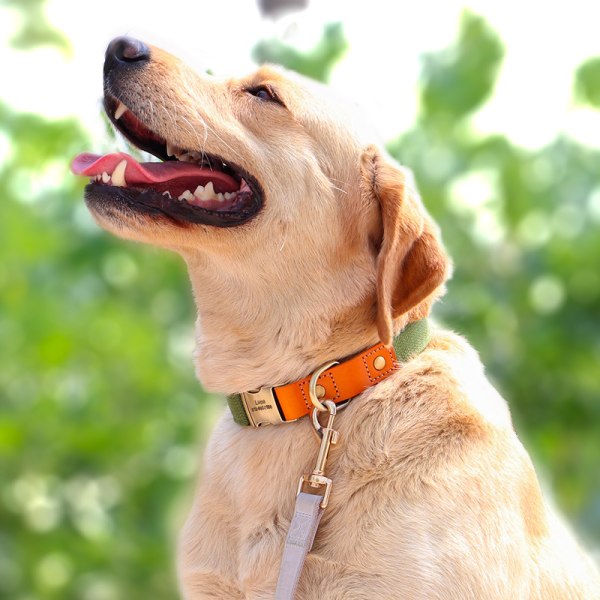 Personliga hundhalsband för små hundar, anpassat mjukt hundhalsband med graverat ID-namn BROWN L