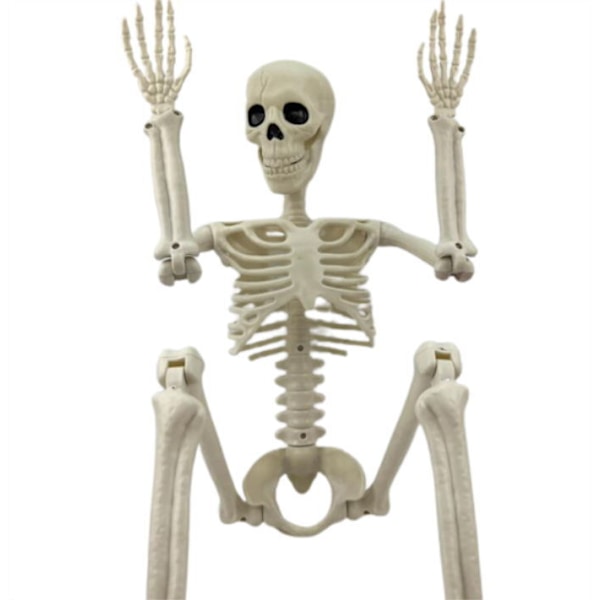 Halloween Justerbart Menneskeskelet med Skeletled 40CM