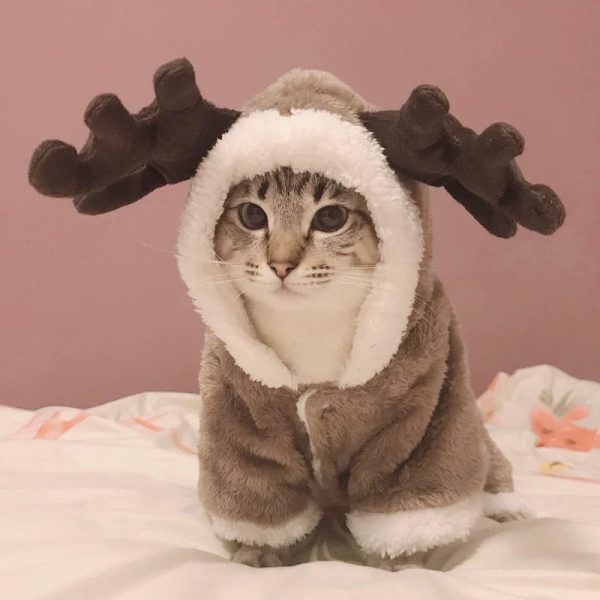 Pet Rendeer Cosplay Halloween Jul Älgdräkt S