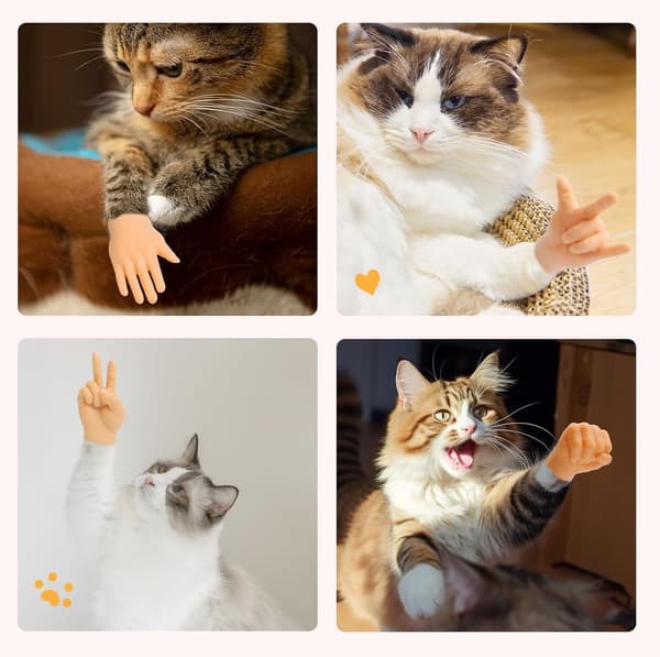 6-pack Mini Händer för Katter, Små Händer för Katter, Korsade Katt Mini Händer