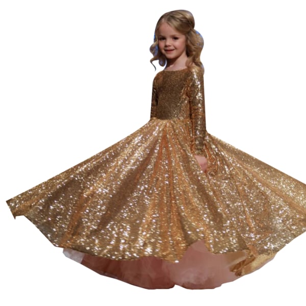 Flickklänning Spets Långärmad Prinsessan Tyll Balklänning Klänning 110cm