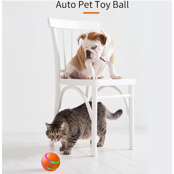 Hundebolde, Interaktive Legetøj til Hunde, Sej Automatisk Bevægelige Hundelegetøj orange Remote control