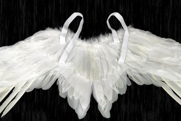 Englevinger med elastisk Halloween-kostymevinger White S