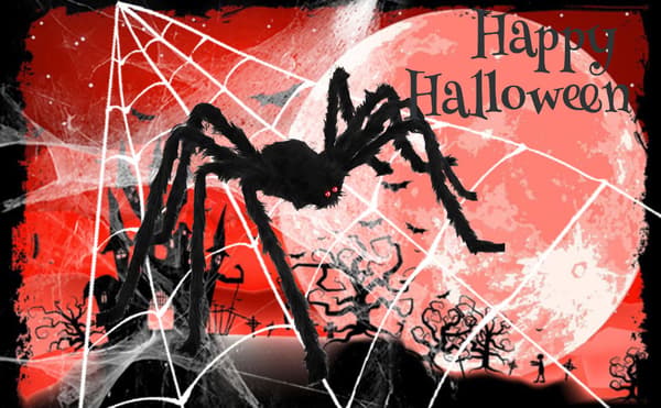 59” Halloween Hårig Spindel Utomhus Dekorationer Black