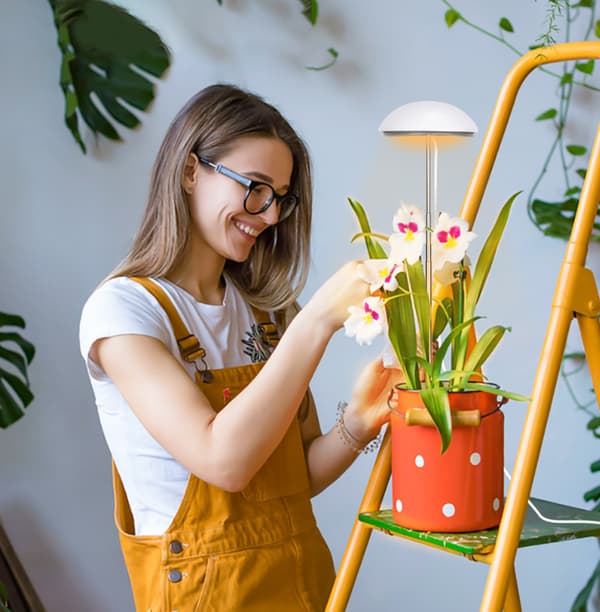 LED Grow Light för inomhusväxter 2-pack