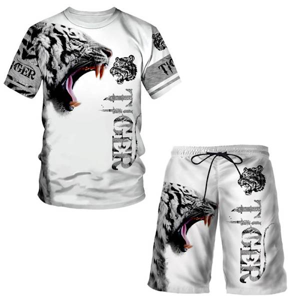 Herr Tracksuits 2-delat sommar shorts set Style 5 S