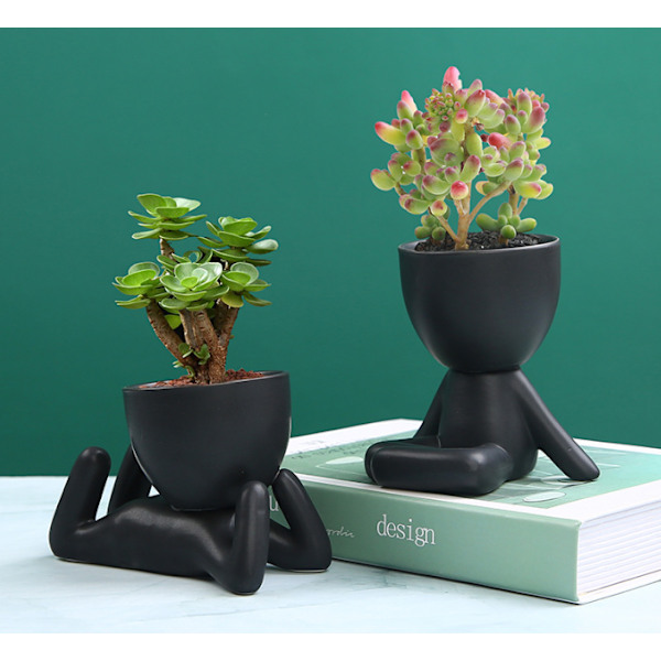 Mini Dekorative Potter til Planter Style 5