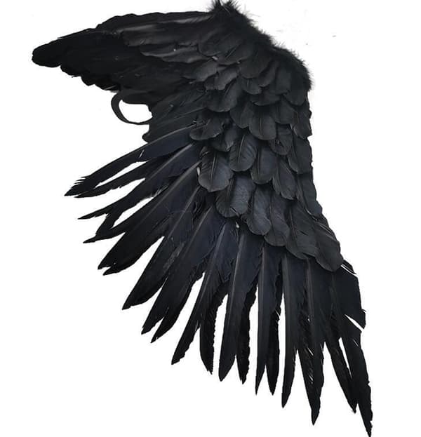 Ängelvingar med elastiska Halloween-kostymvingar Black M