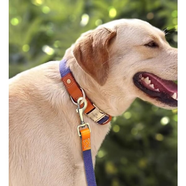 Personliga hundhalsband för små hundar, anpassat mjukt hundhalsband med graverat ID-namn BROWN L