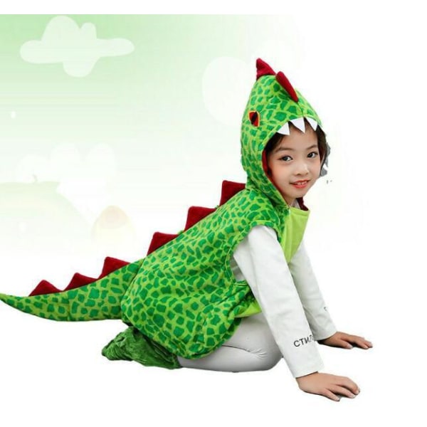Dinosaurkostymer for gutter og jenter Decorative Design M