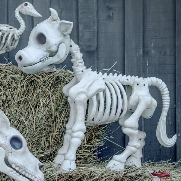 Kuh-Hest-Skjelett Halloween-Dekorasjon cow