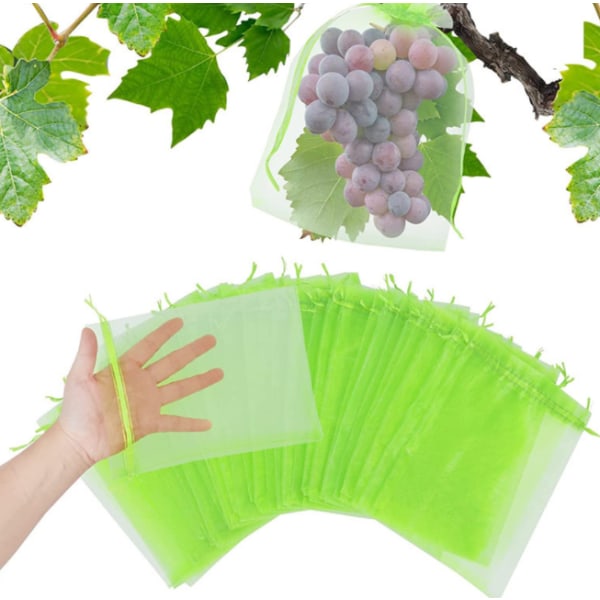 20st Fruktinsekts- och fågelsäkra mesh fruit green 10*12cm