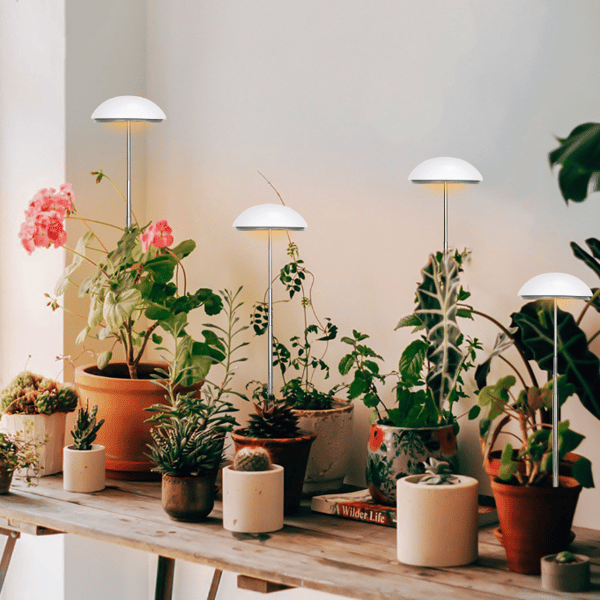 LED Grow Light för inomhusväxter 2-pack