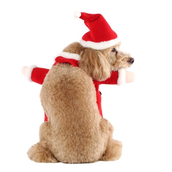 Jultomte Kostym för Små Hundar, Julkläder för Husdjur Style1 S