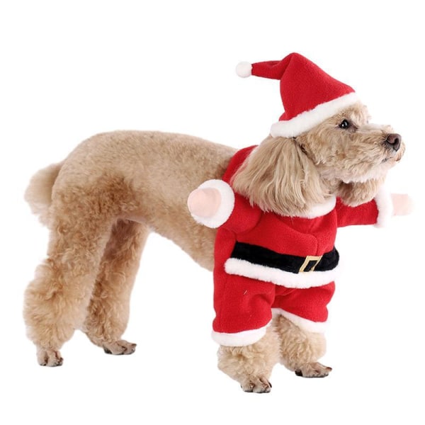 Jultomte Kostym för Små Hundar, Julkläder för Husdjur Style1 S
