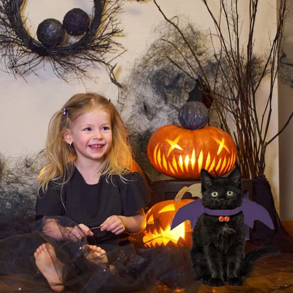 Halloween-kostym för hundar med fladdermusvingar och pumpa-klockor Purple S