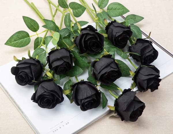 10 kpl Teko-ruusuja Pitkällä Varrella, Silkki-ruusut Black