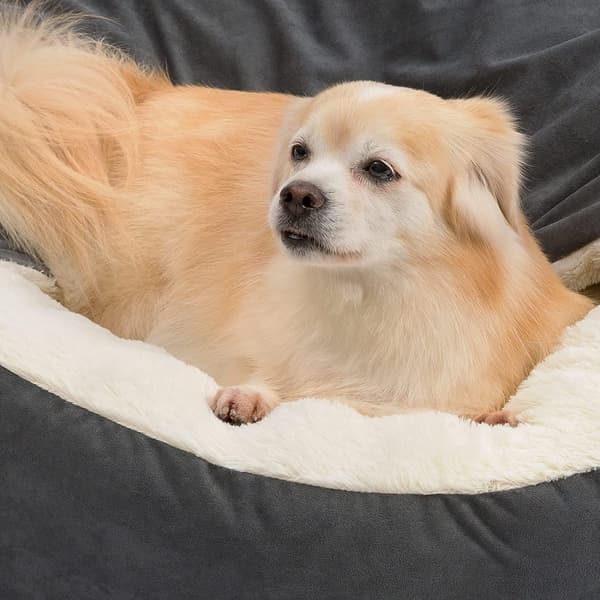 Lille Hundebed Kattebed med Hætte L