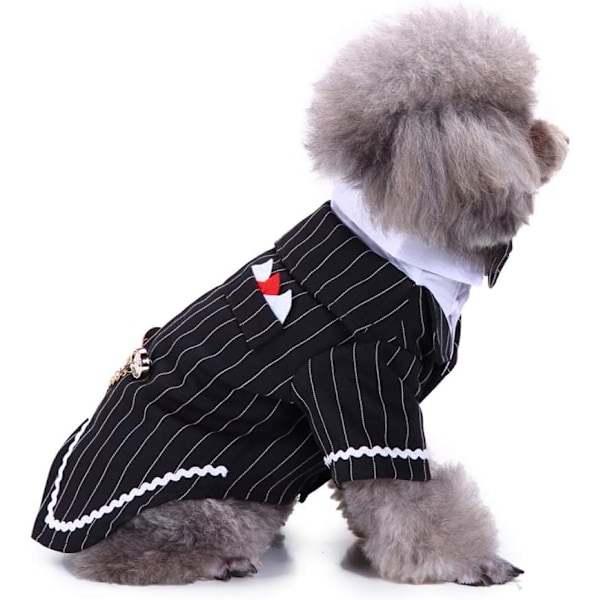 Högtidsjacka för hundar med spets och fluga Bow-tie XL