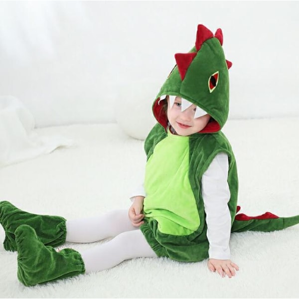 Dinosaurkostymer for gutter og jenter Green M