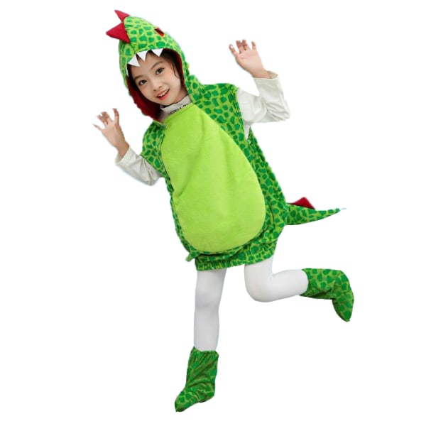Dinosaurkostymer for gutter og jenter Decorative Design M