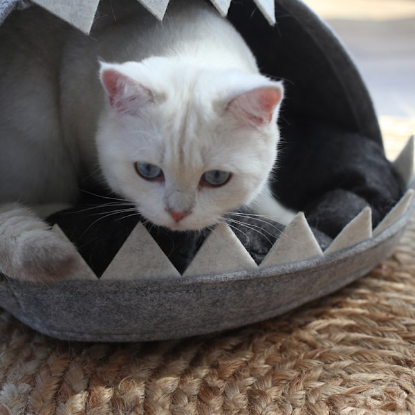 Kattetoilet Varmt Kattemad Shark-Formet Hus Varmt Kennel Killinge Seng Grey