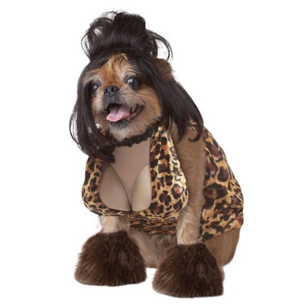 Söt hund Cosplay Halloween kostym Hund kostym brown XS