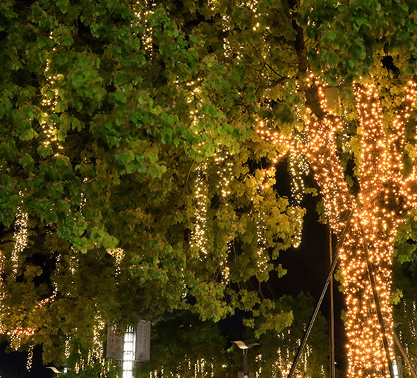 Solar julbelysning, Solar Outdoor String Lights yellow