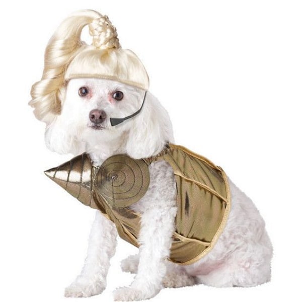 Söt hund Cosplay Halloween kostym Hund kostym gold M