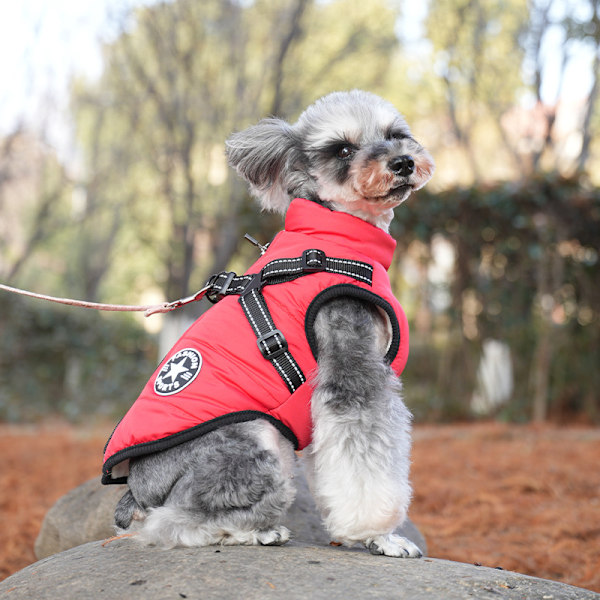 Hundevinterjakke med Sele, Vandafvisende Hundejakke med Lynlås og Fleece Red L
