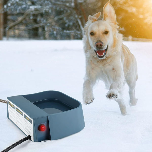 Opvarmet Automatisk Vandskål til Hunde Udendørs American Standard