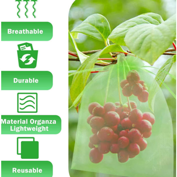 20st Fruktinsekts- och fågelsäkra mesh fruit green 10*12cm