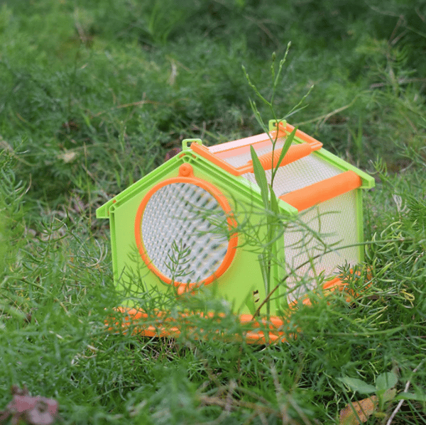 Critter Cage Bug Catcher and Habitat Kit blue