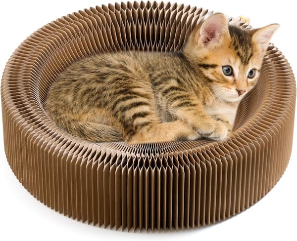 Sammenklappelig Kattekløse Lounge Katteseng 50*13CM