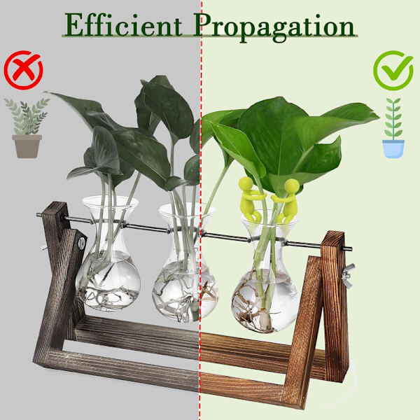 Plant Propagation Buddy, Plantestøtte til Spirer, Stængler, Skud og Stiklinger 3PCS