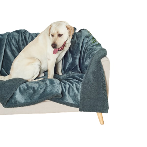 Myk Vanntett Teppe (For Små Hunder, Mellomstore Hunder) Gray 100*145CM