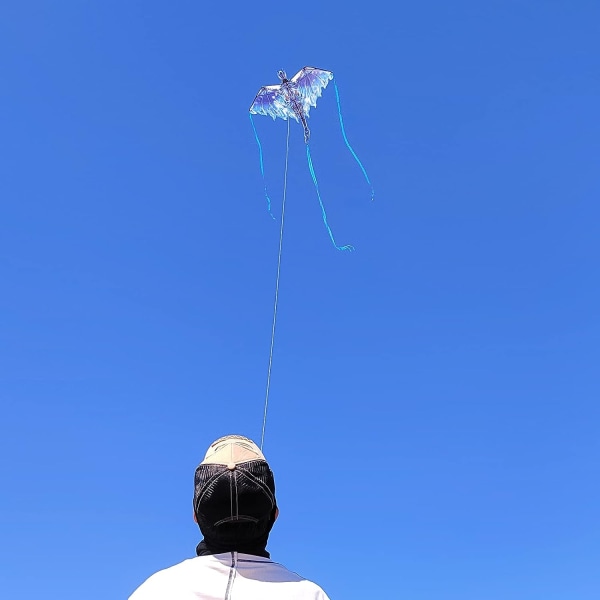 51 tum Dragon Kite Large Single Line String Kite Blue