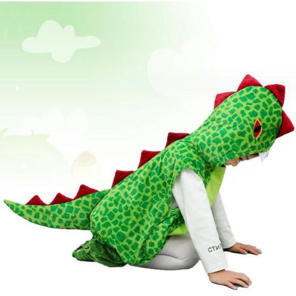 Dinosaurkostymer for gutter og jenter Decorative Design M