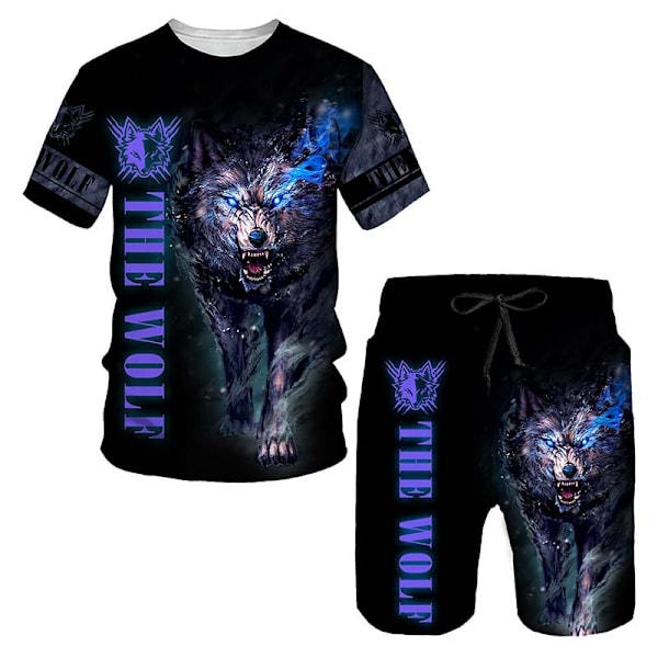 Herr Tracksuits 2-delat sommar shorts set Style 6 M