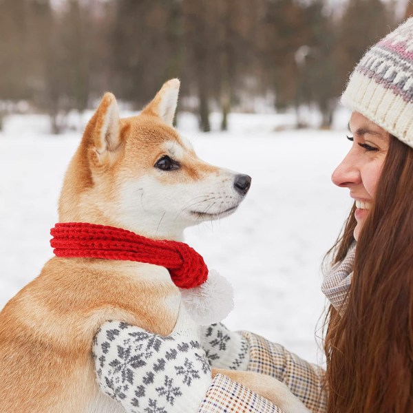 Julehundekatte Santa Sjal, Hund Vinter Strikket Sjal XXS