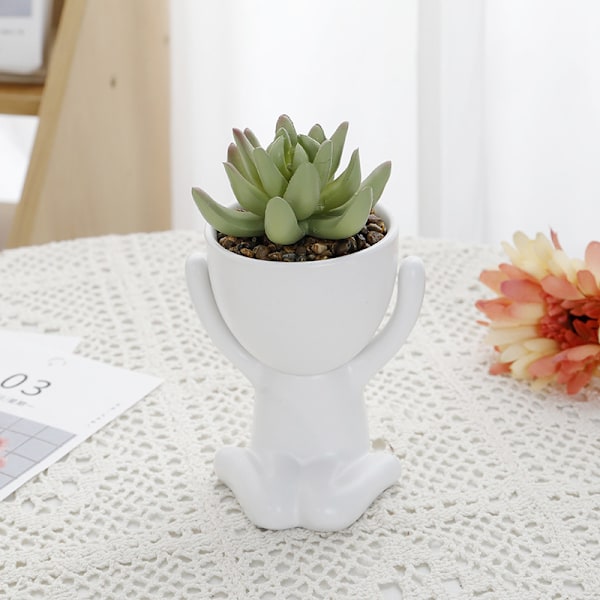 Mini Dekorative Potter til Planter Style 10