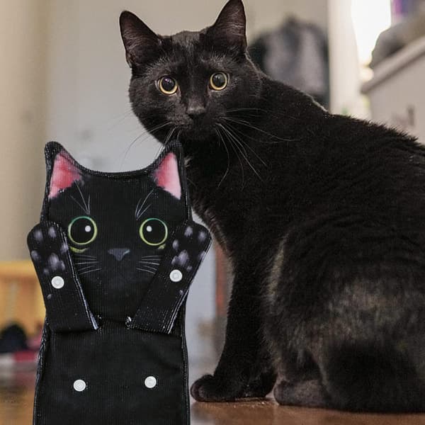 Sjov Kat Håndklæde til Køkken og Badeværelse Black cat