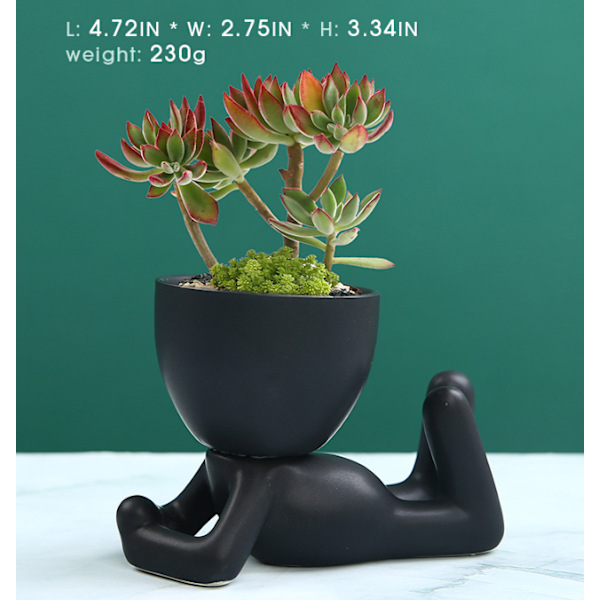 Mini Dekorative Potter til Planter Style 4