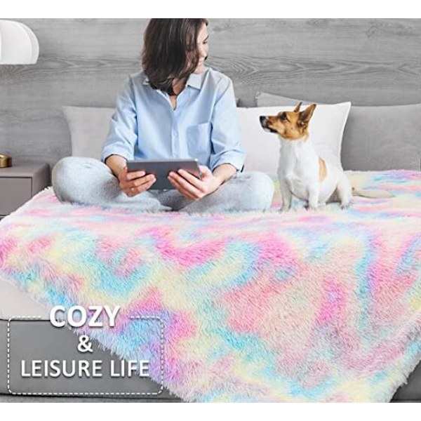 Dubbelsidig Tjock Lammullsfilt med Långt Hår Colorful 80*120CM